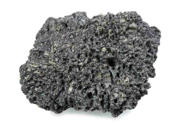 Fossil Glyptodont (Glyptotherium) Bony Armor Osteoderm - Florida #362305